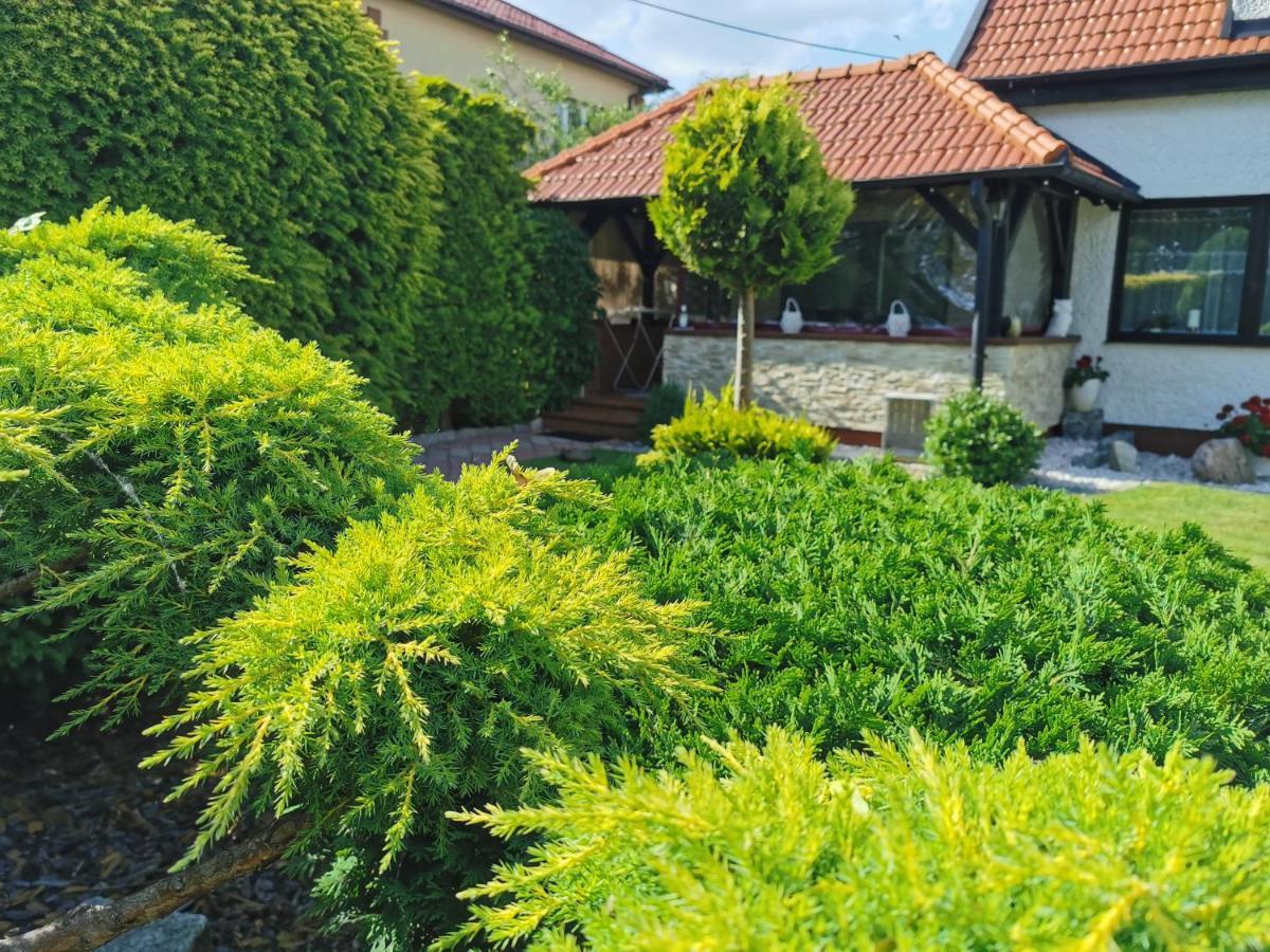 Romir Pokoje Bardzo Goscinne Sztutowo Exterior foto